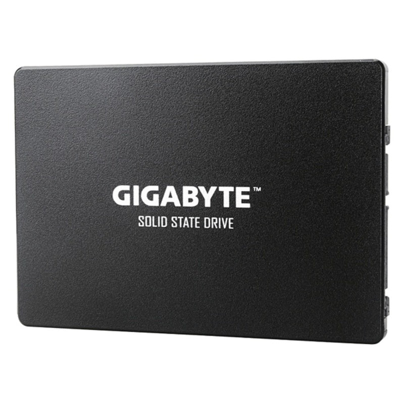 External Hard Drive Gigabyte GP-GSTFS31100TNTD 2,5