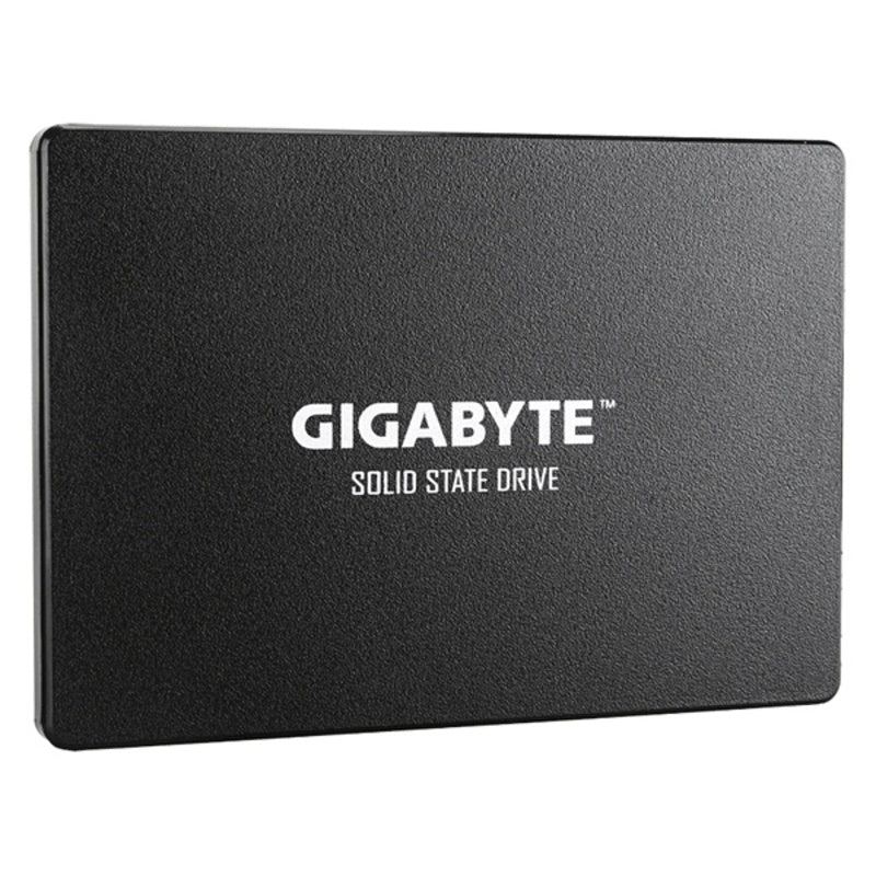 External Hard Drive Gigabyte GP-GSTFS31100TNTD 2,5